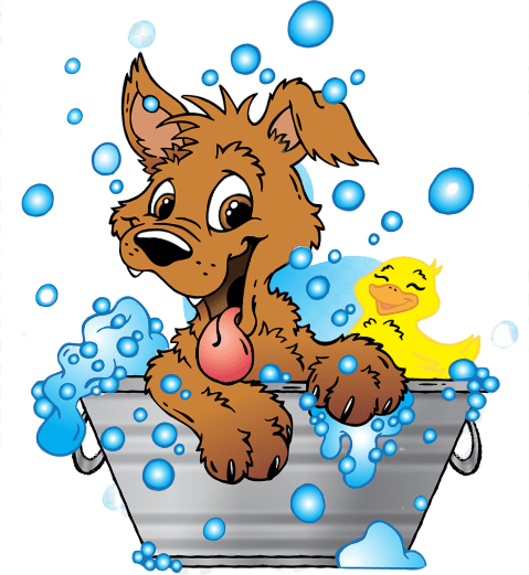 Professional Dog Washing & Dog Grooming | Pamper Your Pooch Now ...